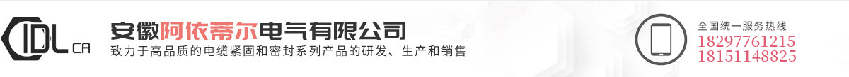 安徽阿依蒂爾電氣有限公司